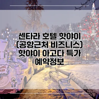 센타라 호텔 핫야이 (공항근처 비즈니스) 핫야이 아고다 특가 예약정보