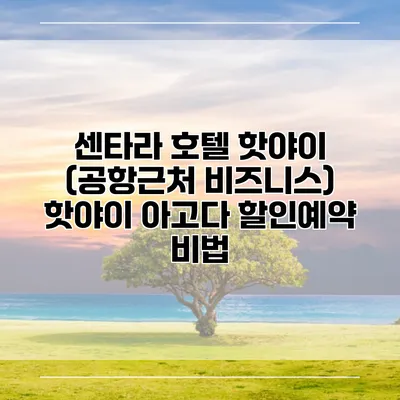 센타라 호텔 핫야이 (공항근처 비즈니스) 핫야이 아고다 할인예약 비법