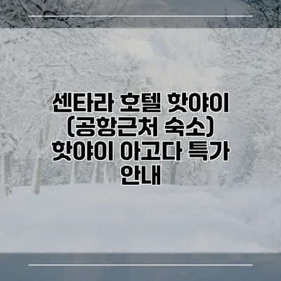 센타라 호텔 핫야이 (공항근처 숙소) 핫야이 아고다 특가 안내