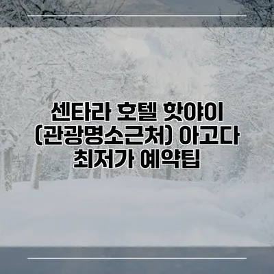 센타라 호텔 핫야이 (관광명소근처) 아고다 최저가 예약팁