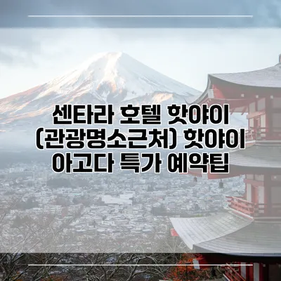 센타라 호텔 핫야이 (관광명소근처) 핫야이 아고다 특가 예약팁