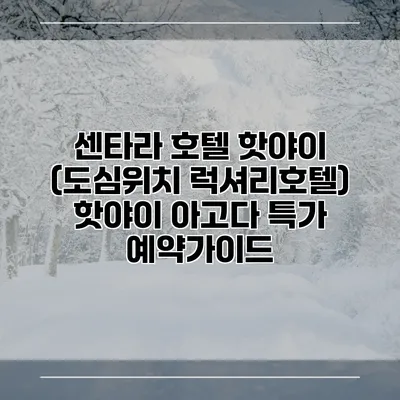 센타라 호텔 핫야이 (도심위치 럭셔리호텔) 핫야이 아고다 특가 예약가이드