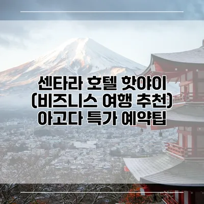 센타라 호텔 핫야이 (비즈니스 여행 추천) 아고다 특가 예약팁