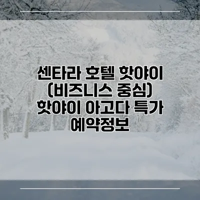 센타라 호텔 핫야이 (비즈니스 중심) 핫야이 아고다 특가 예약정보