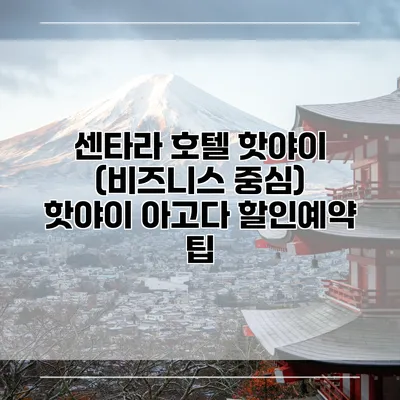 센타라 호텔 핫야이 (비즈니스 중심) 핫야이 아고다 할인예약 팁