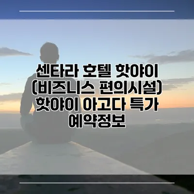 센타라 호텔 핫야이 (비즈니스 편의시설) 핫야이 아고다 특가 예약정보