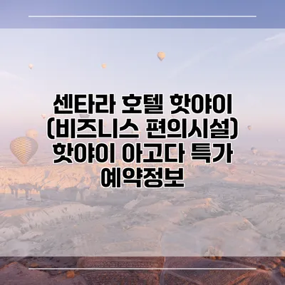 센타라 호텔 핫야이 (비즈니스 편의시설) 핫야이 아고다 특가 예약정보