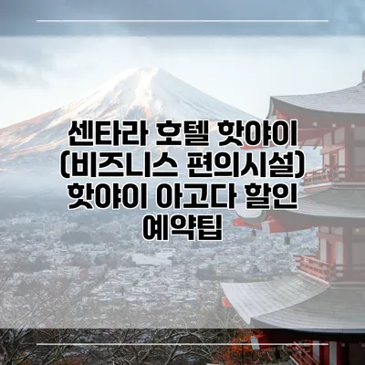 센타라 호텔 핫야이 (비즈니스 편의시설) 핫야이 아고다 할인 예약팁