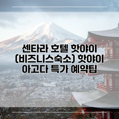 센타라 호텔 핫야이 (비즈니스숙소) 핫야이 아고다 특가 예약팁