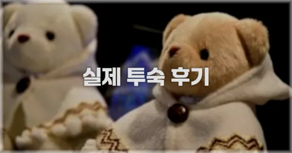 💬 실제 투숙 후기