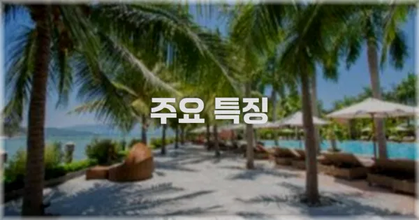 ✨ 주요 특징